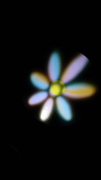 В лаборатории чудес: как влюбиться в физику в «Кунсткамере» Дома учёных