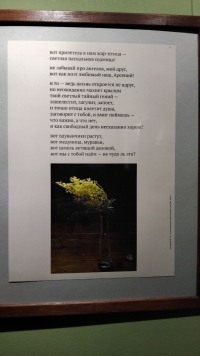 «Радость быть» в мелочах: открытие фотовыставки Юрия Зеленцова в Доме ученых