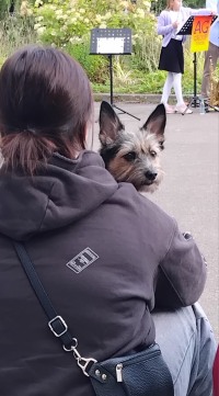 «Физическая Кунсткамера» и джаз: праздник для ума и сердца в Доме учёных.