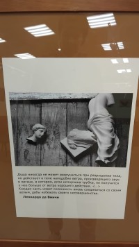 "Фотографические фрагменты": история не в пикселях, а между ними