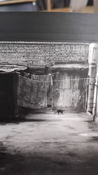 "Фотографические фрагменты": история не в пикселях, а между ними