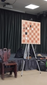 Красота хода: от теории к практике в Шахматном клубе Троицкого Дома учёных