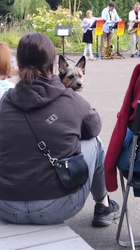 «Физическая Кунсткамера» и джаз: праздник для ума и сердца в Доме учёных.