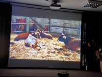 27 октября в рамках ФАНК состоялся показ фильма "В поисках сельских утопий"