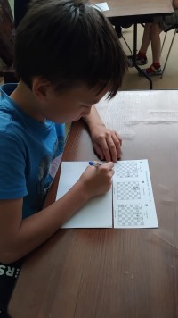 Красота хода: от теории к практике в Шахматном клубе Троицкого Дома учёных