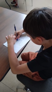 Красота хода: от теории к практике в Шахматном клубе Троицкого Дома учёных