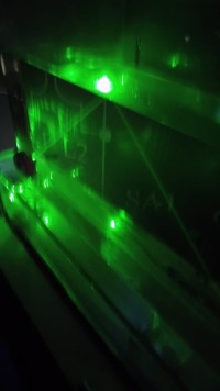 В лаборатории чудес: как влюбиться в физику в «Кунсткамере» Дома учёных