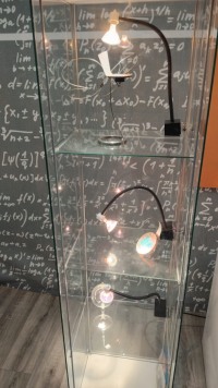 В лаборатории чудес: как влюбиться в физику в «Кунсткамере» Дома учёных