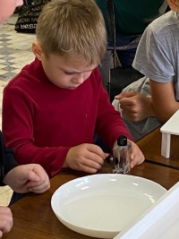 Прикоснуться к чуду: как Дом учёных удивлял троичан