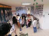 24 мая Дом учёных провёл авторское научное мероприятие «Солнечный ветер» для школьников