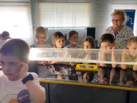 Как услышать то, что не слышно? Дети нашли ответ в музее науки»