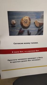 "Фотографические фрагменты": история не в пикселях, а между ними