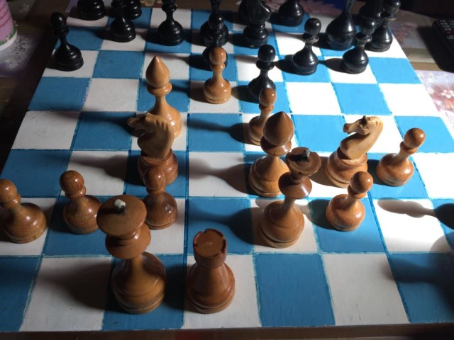 Шахматы для начинающих