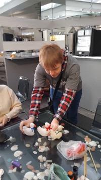 Тёплое воскресенье: как мы шили гусей в Троицком Доме учёных РАН