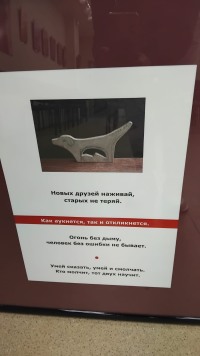 "Фотографические фрагменты": история не в пикселях, а между ними