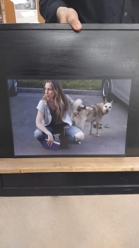 "Фотографические фрагменты": история не в пикселях, а между ними