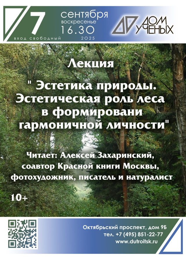 Лес как вечный учебник гармонии