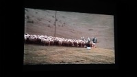 «Жизнь как чудо» в «Фокусе-2»: трагикомедия, которая заставила плакать и смеяться одновременно