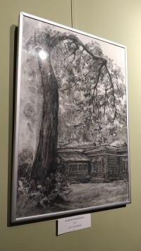 Как тишина стала искусством. Итоги выставки «Оттенки линий» в Троицком Доме учёных РАН